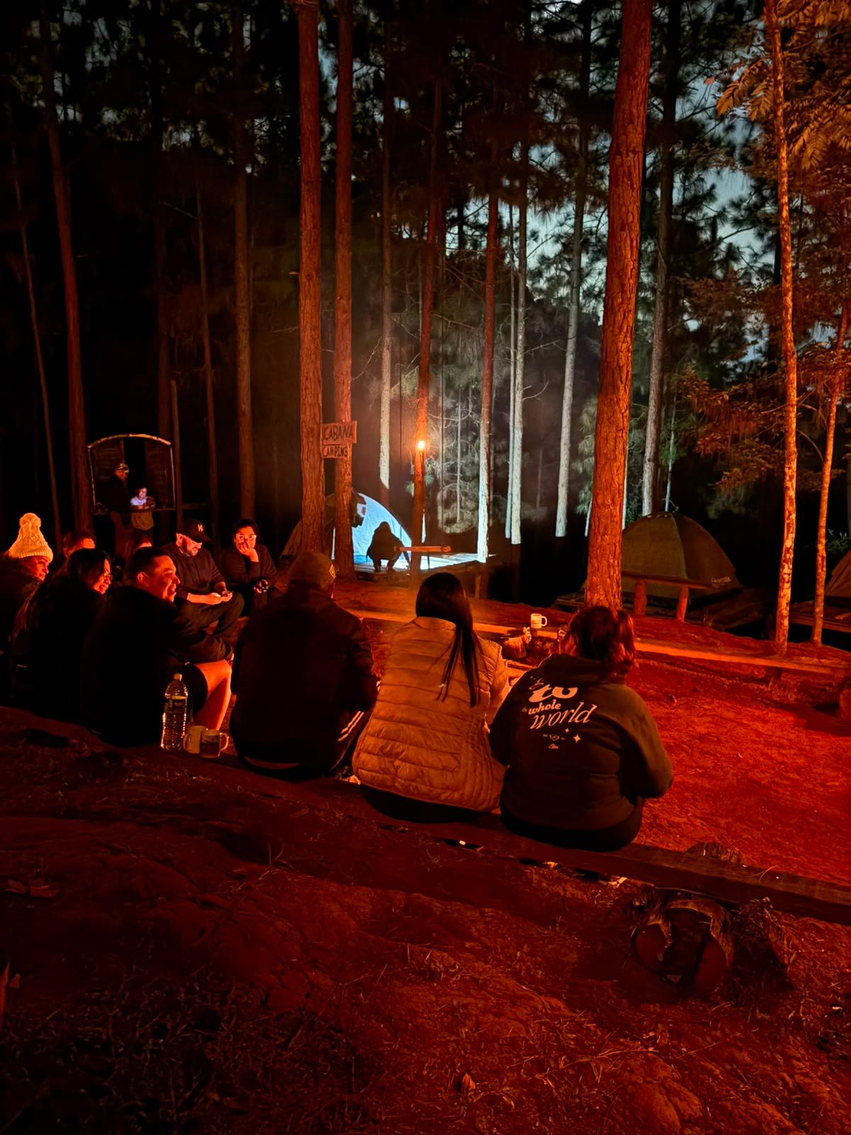 Grupo ao redor da fogueira no camping entre os pinheiros