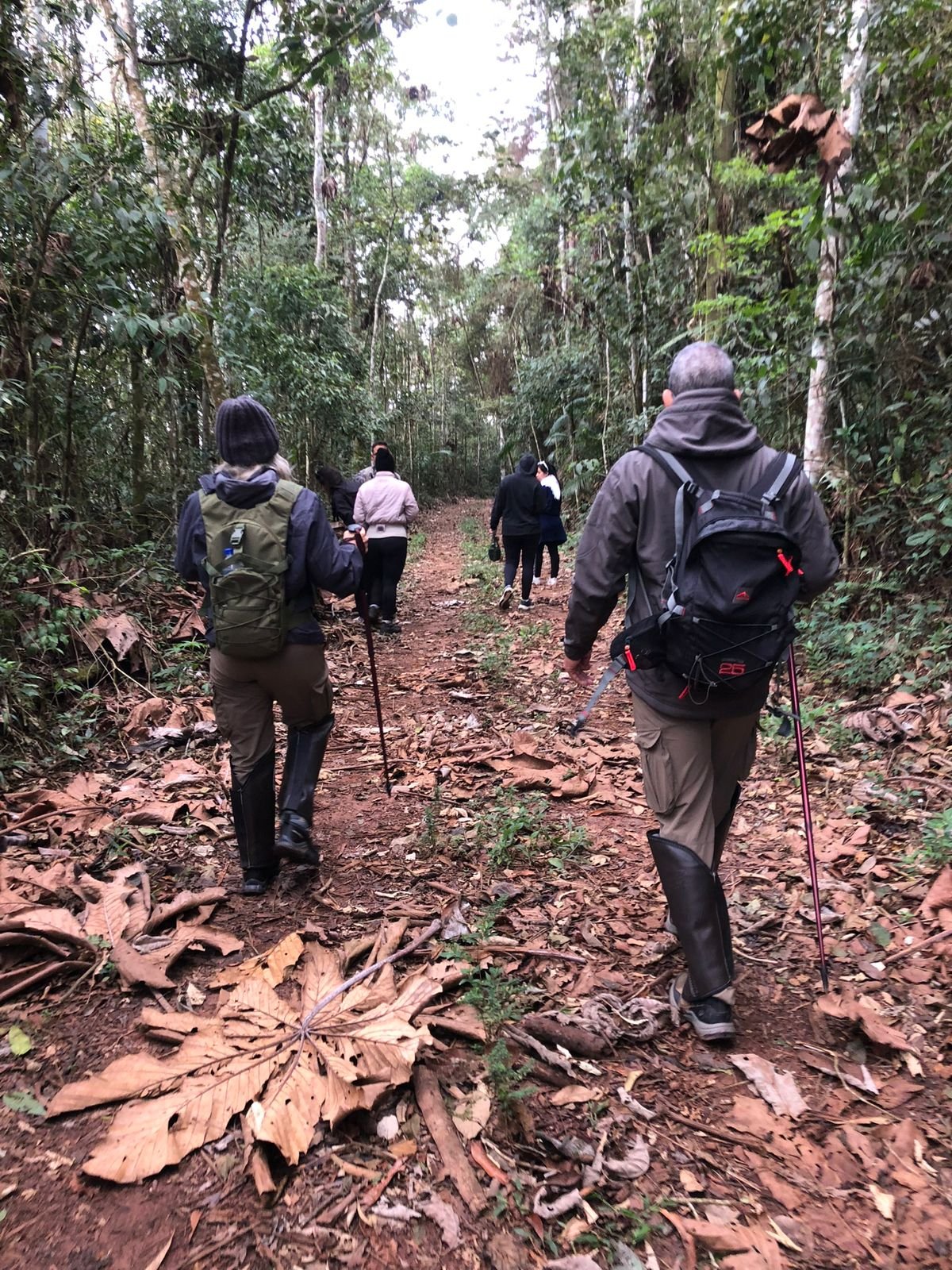 Café da manhã no camping com fogueira ao fundo