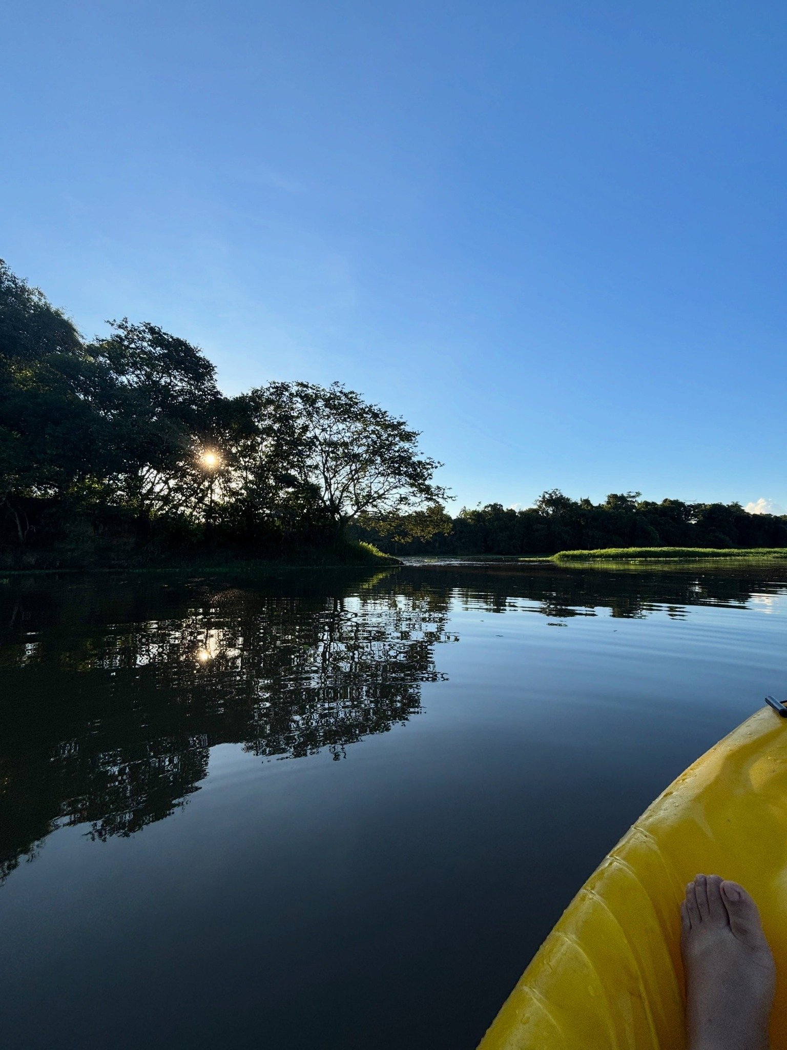 Sol nascendo entre árvores refletido nas águas calmas do Rio Paraíba